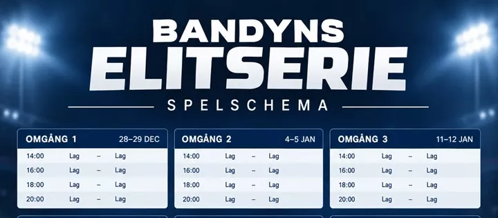 Elitserien Bandy